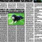 Ischiamondo Dicembre 2011_Pagina_13